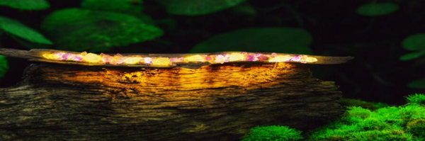Amethyst 1metre & Peridot