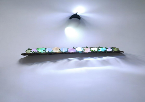 Rose Fluorite Selenite
