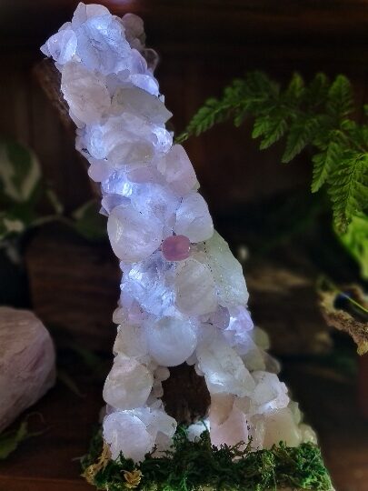 Rose Quartz on pecan wood