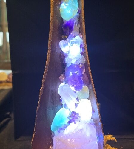 Amethyst palm