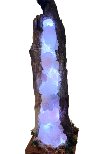 Rose Quartz on palm